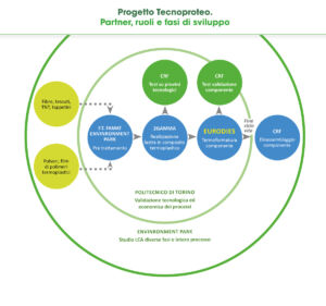 Tecnoproteo fasi di sviluppo