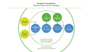 Tecnoproteo fasi di sviluppo