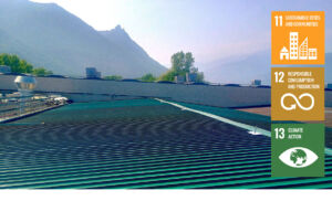 green roof Eurodies