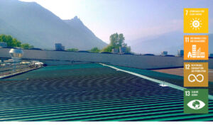 green roof Eurodies