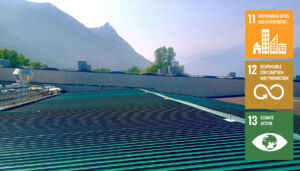 Green roof Eurodies