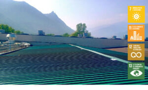 tetto green Eurodies