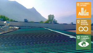 Tetto green Eurodies